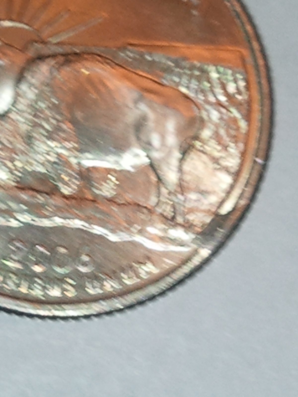 Is-This-A-Cud-On-This-2006-Quarter?